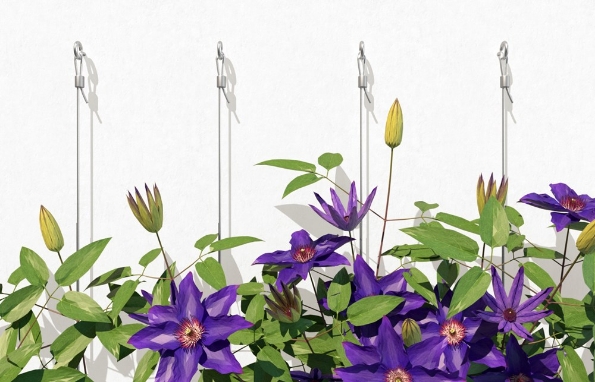 Afbeelding - https-www-ez-catalog-nl-Asset-89998ec61d6f4871a8f02eb5c917ffbb-ImageFullSize-w1-a-i-04-224-geruest-rankgitter-sall-aqq-v1-jpg